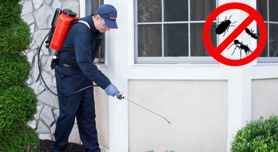 Güney Dezenfeksiyon böcek ilaçlama ve haşere kontrolü — ilaclama-tr.com